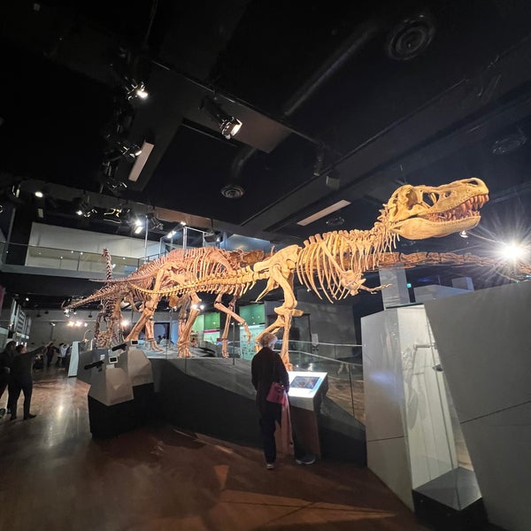 Photo taken at Melbourne Museum by れお on 5/8/2023