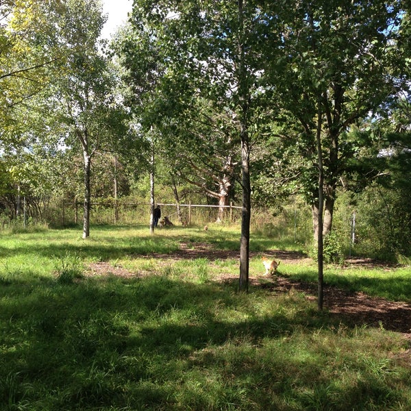 Shelburne Dog Park Shelburne, VT