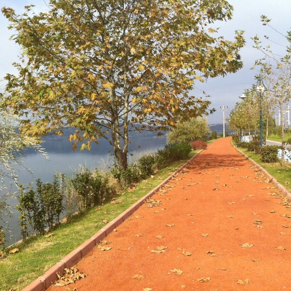 stada kulaklık sokulur mu