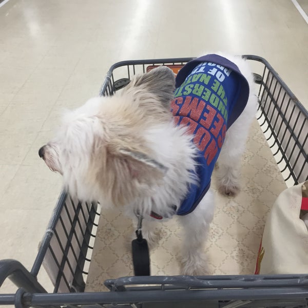 Photos At ケーヨーデイツー 久里浜店 Furniture Home Store