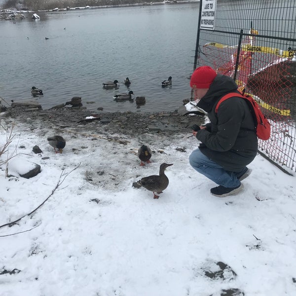 Humber Bay Butterfly Habitat Other Great Outdoors in Toronto