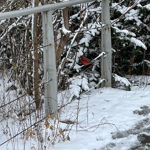 Humber Bay Butterfly Habitat Other Great Outdoors in Toronto