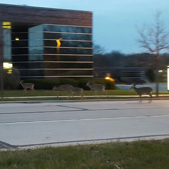 Village of Hales Corners