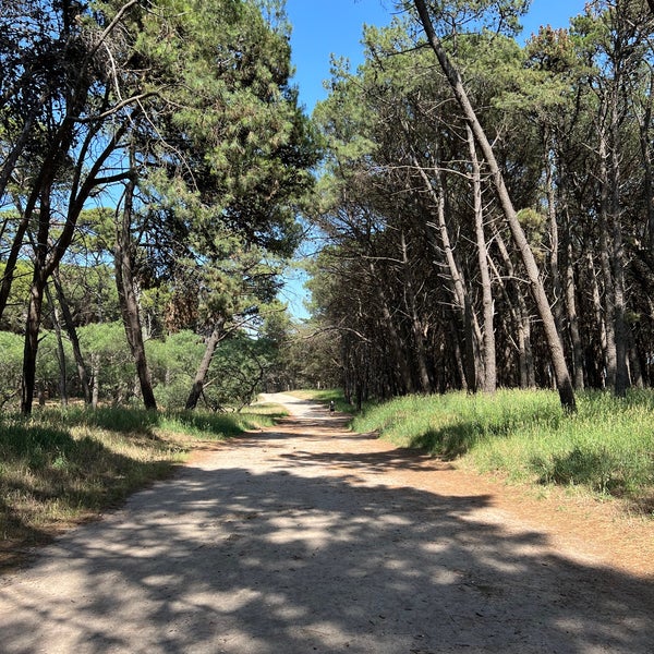 Parque Miguel Lillo Park in Necochea