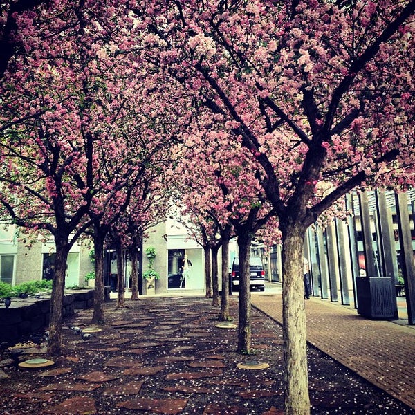 Village of Yorkville Park Park in Yorkville