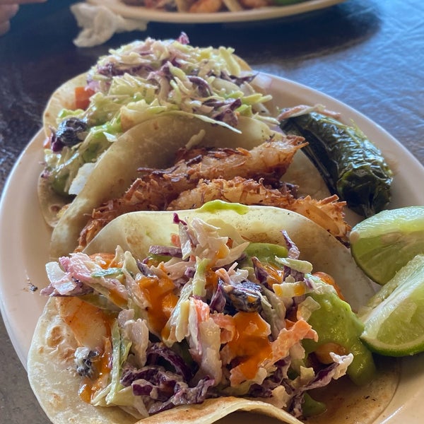Claro Fish Jr - Los Cabos, Baja California Sur