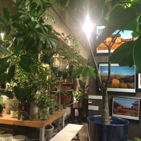 Buzz 恵比寿 80 Visitors