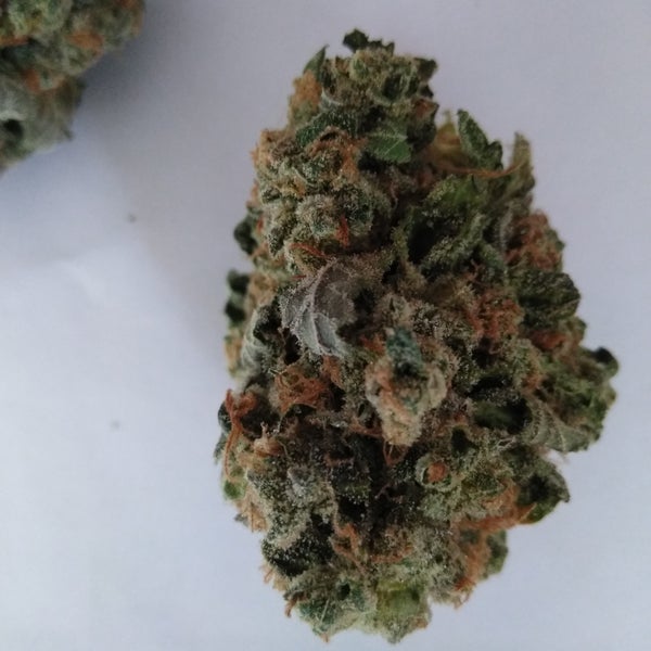 Strain Book - Stardawg Guava - The Clinic