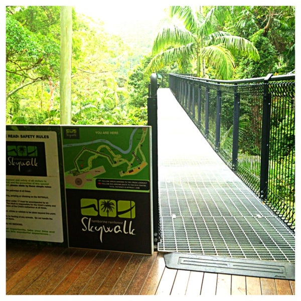 Tamborine Rainforest Skywalk 17 tips from 492 visitors