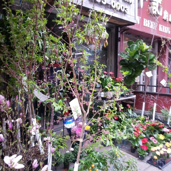 Manhattan Florist, Inc. Chinatown New York, NY