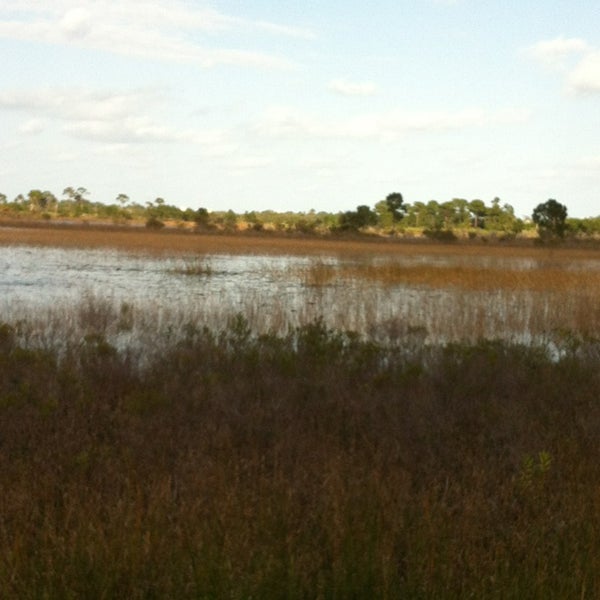 Savannas Preserve State Park Port Saint Lucie, FL