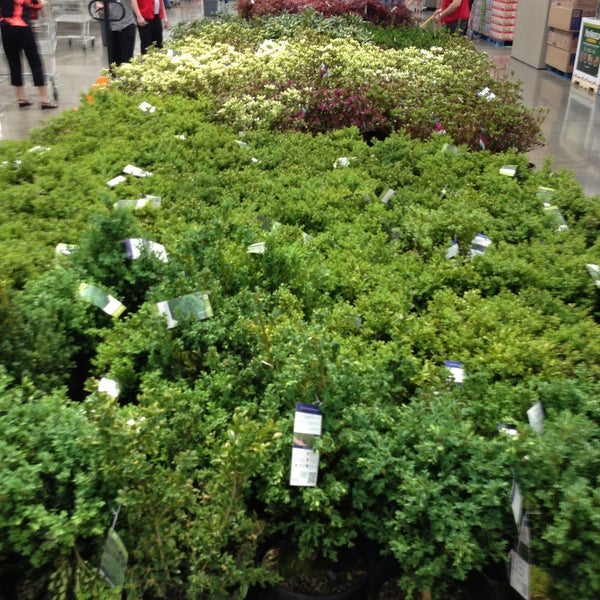 Costco Orland Park, IL