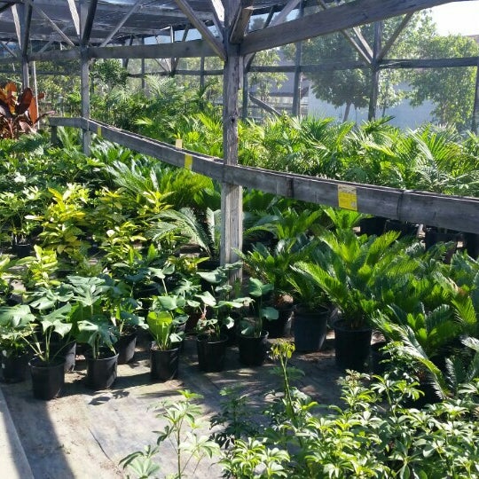 Lakewood Nursery Garden Center Lakewood Nursery Garden Center