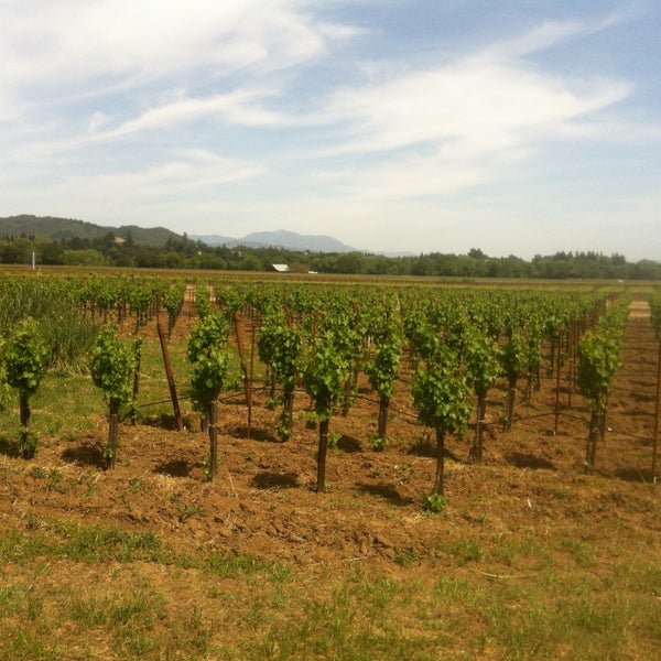 4/28/2013 tarihinde Lenny M.ziyaretçi tarafından Quivira Vineyards and Winery'de çekilen fotoğraf