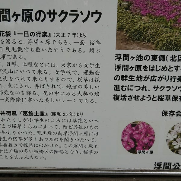 浮間ヶ原桜草圃場 Garden