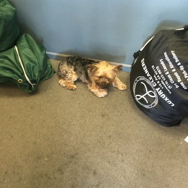 La Jolla Cleaners University City 4 tips from 98 visitors