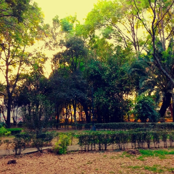 Fotos en Parque Xicotencatl Parque