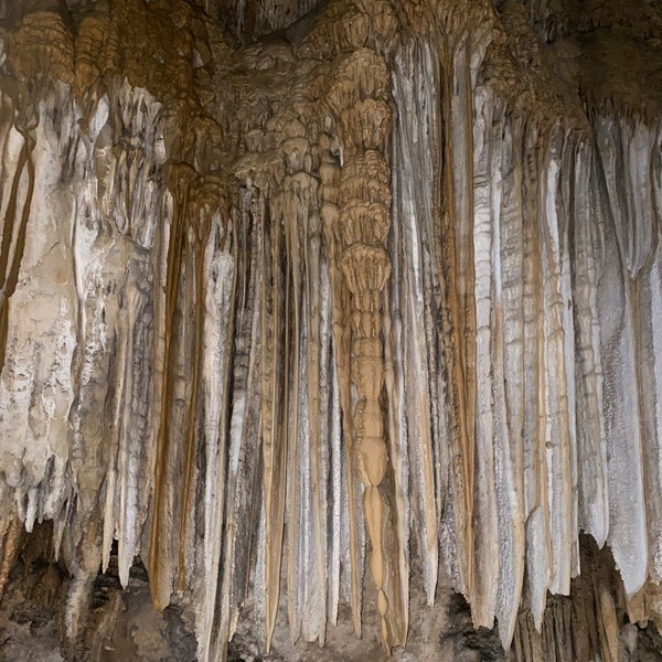 Снимок сделан в Lake Shasta Caverns пользователем Anurag R. 11/26/2021