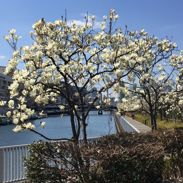Photos At 江東区保健所 3 Tips