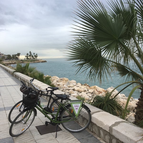 Photo taken at Málaga Bike Tours &amp; Rentals by Kay Farrell by Peter V. on 1/31/2019