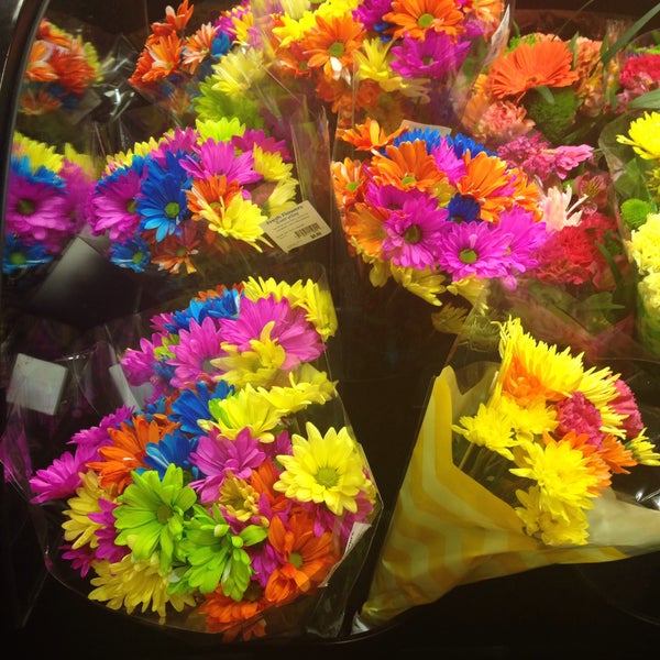 Winn Dixie Flowers Home Alqu