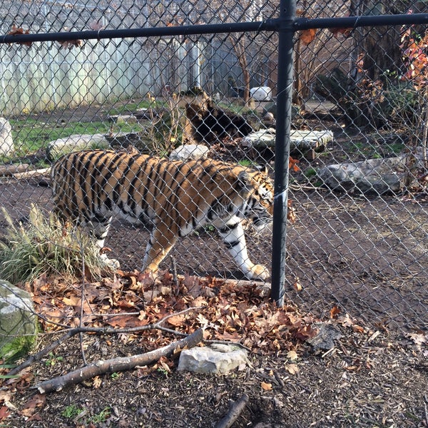Foto tirada no(a) Seneca Park Zoo por Peter S. em 12/8/2015