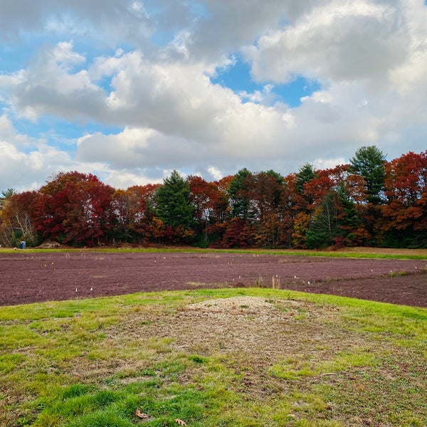 The Nature Trail and Cranberry Bog Foxborough, MA