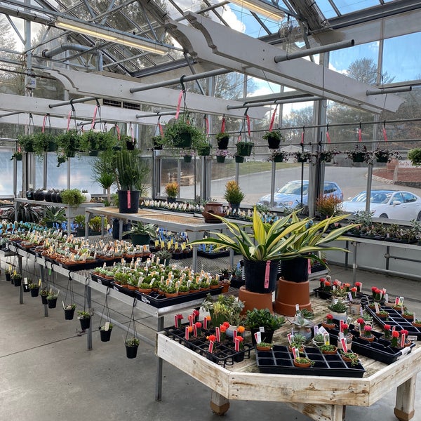 Photos at Briggs Nursery 6 tips from 327 visitors