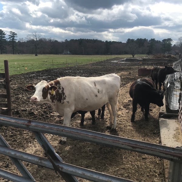 Norfolk County Agricultural High School Trade School