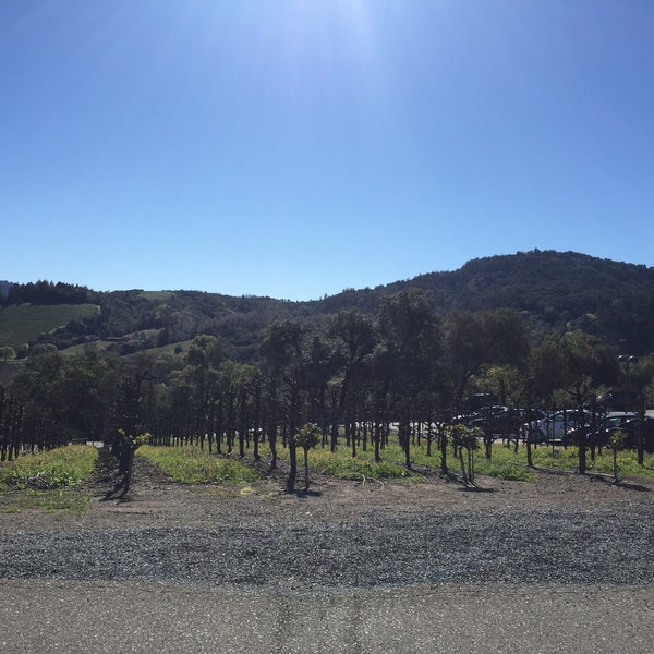 Photo taken at Sbragia Family Vineyards by Matt W. on 2/14/2015