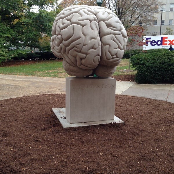 IU Psychology Department Indiana University Bloomington, IN