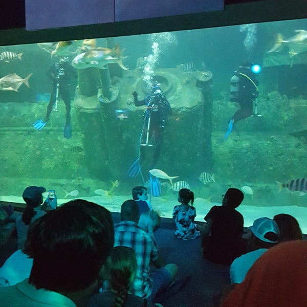 Foto diambil di North Carolina Aquarium at Pine Knoll Shores oleh Anna C. pada 8/17/2019