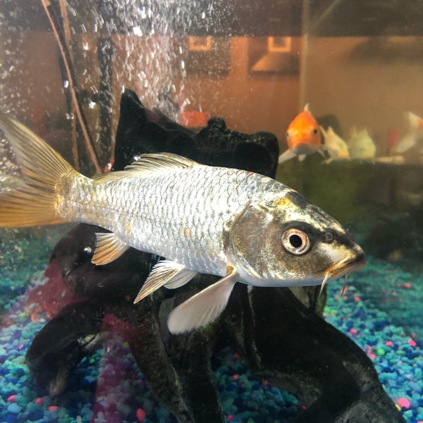 Zen Bistro & Wine Bar 21 tips from 938 visitors