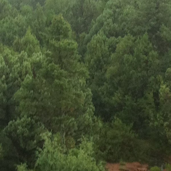 The Home Depot Payson, AZ