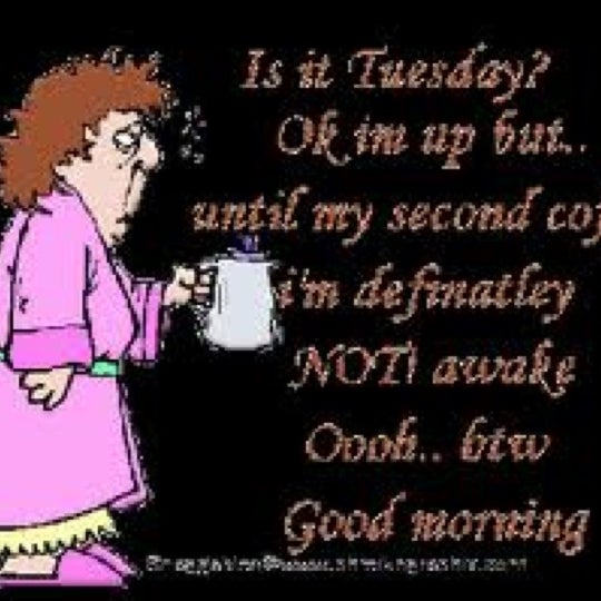 Until tuesday. Книга про голден ретривера. Until tuesday. Until tuesday. Книга про голден ретривера.