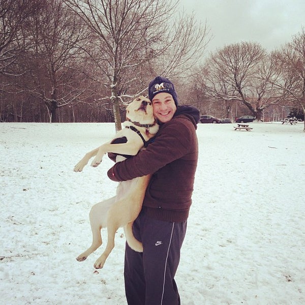Photos at Wauwatosa Dog Park Dog Run in Wauwatosa