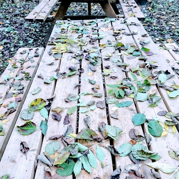 Røa