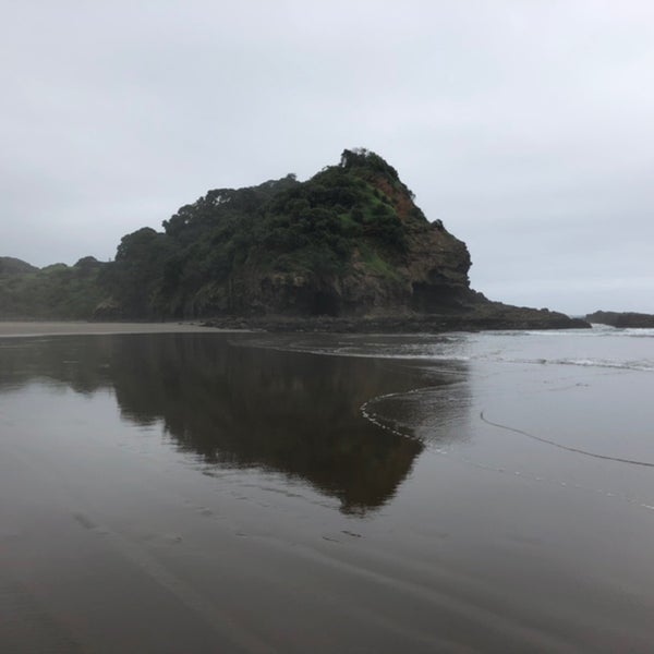 Bethells Beach the Wilds