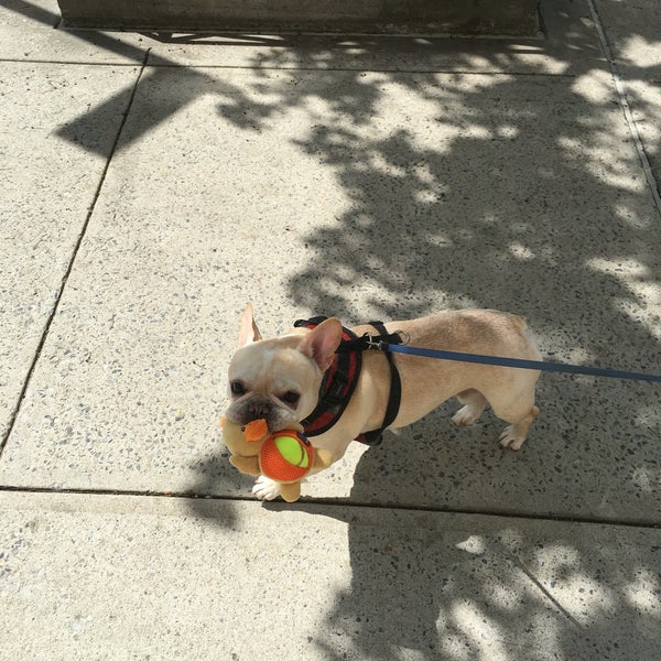 Pet Central Upper West Side 3 tips from 73 visitors