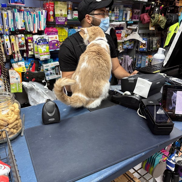 Pet hotsell market broadway