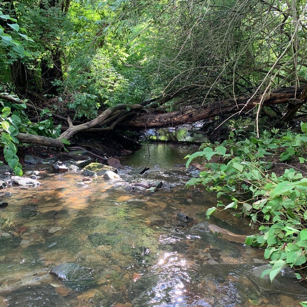 Horseshoe Lake (Upper Shaker Lake) 1 tip from 364 visitors