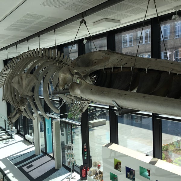 Das Foto wurde bei Cambridge University Museum Of Zoology von Michelle H. am 5/6/2018 aufgenommen