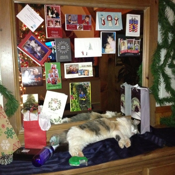 PetSmart Clifton Park, NY'da fotoğraflar