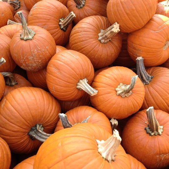 Gertens Hardware Store in Inver Grove Heights
