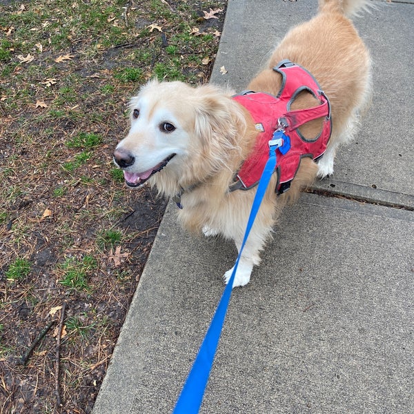 Arbor Villa Park Park in Kansas City