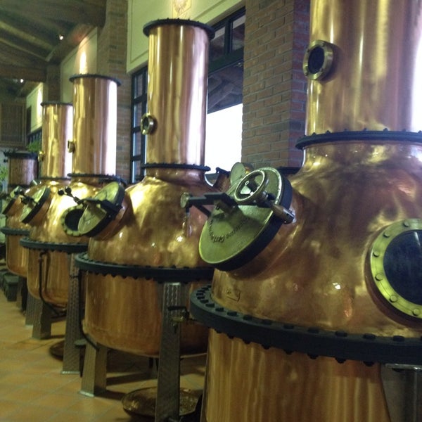 Photo taken at Distilleria Berta by Cristina F. on 2/5/2014