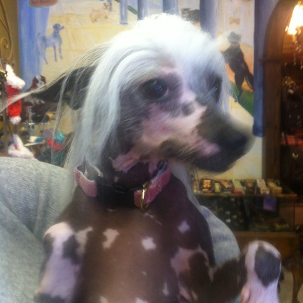 7/3/2013にMrsbones B.がMrs. Bones Decorative Dog Collarsで撮った写真