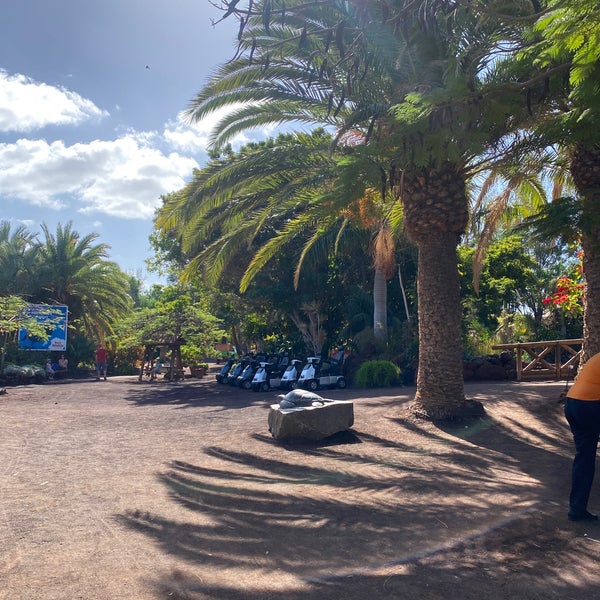 รูปภาพถ่ายที่ Oasis Park Fuerteventura โดย Mherrerovelasco เมื่อ 11/20/2022