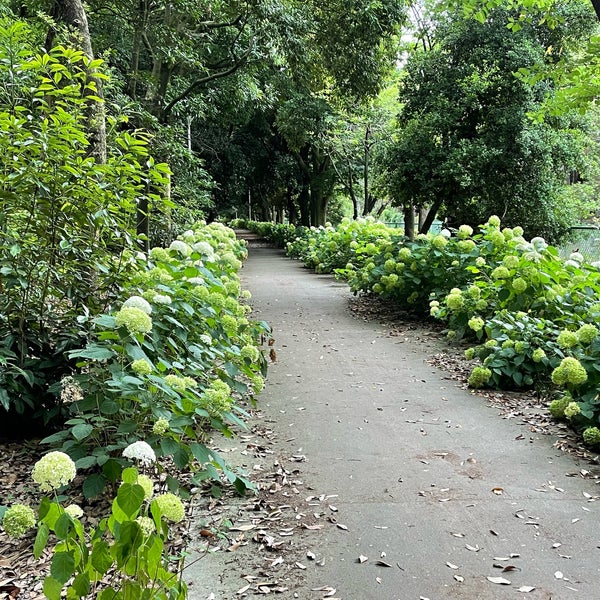 夢の島緑道公園 Park In 江東区 東京都