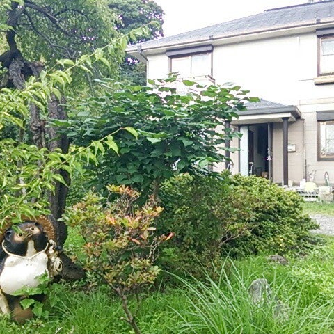 佐渡白山ユースホステル 閉業 ユースホステル 佐渡白山ユースホステル 閉業 ユースホステル